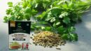 POUNDED CORIANDER / DHANIYA POWDER